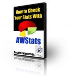 How to Check Your Stats With AWStats